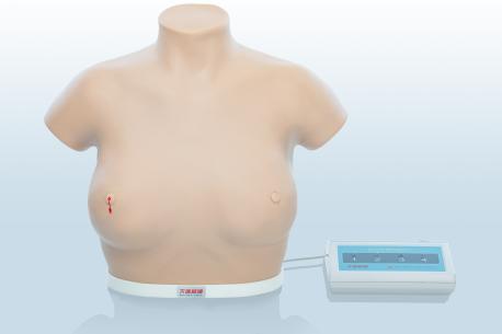 電子乳腺癌觸診、視診訓(xùn)練模型