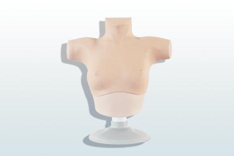 乳腺癌觸診、視診訓(xùn)練模型